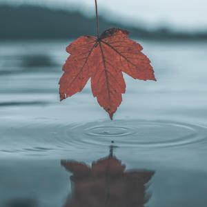 💖少妇💖自慰喷动漫播放器
